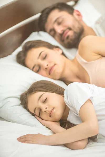 Familia Durmiendo Cómoda Cama — Foto de Stock