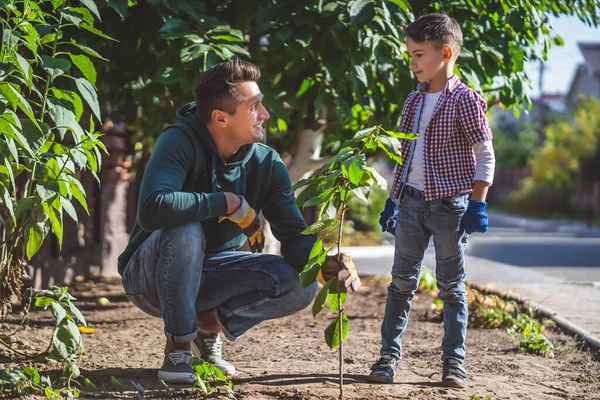 Ayah Dan Anak Berkebun Bersama Sama — Stok Foto