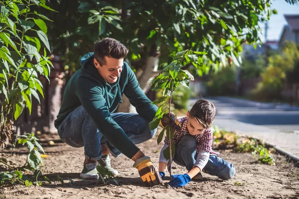 Ayah Dan Anak Menanam Pohon Bersama Sama — Stok Foto