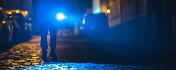 Un perro en la carretera en la noche la luz de la ciudad desenfoca el fondo