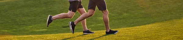 Die Alten Und Jungen Sportler Beim Laufen Grünen Park — Stockfoto
