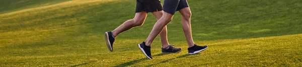 The old and young sportsmen running in the green park