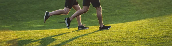 Los Dos Hombres Corriendo Sobre Hierba Parque —  Fotos de Stock