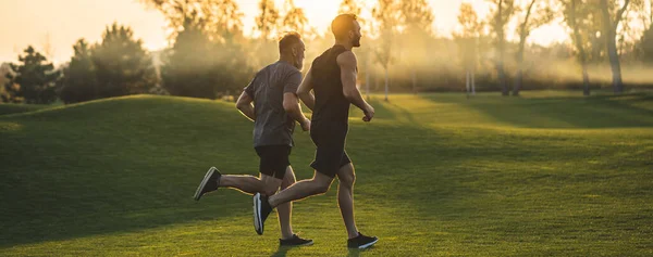 Sportsfolkene Som Løper Gresset Parken Solrik Bakgrunn – stockfoto