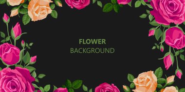 Çiçek pankartı. Siyah arka plan. Güller, tomurcuklar ve yapraklar sosyal medya için telif alanı olan karanlık bir arka planda. Pembe, kırmızı, mor, turuncu renkler. Parlak doymuş çiçekler. Çerçeve, gül deseni