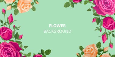 Çiçek yeşili arka plan. Güller, tomurcuklar ve yapraklar kopyalanmış eski tarzda. Pembe, kırmızı, mor, turuncu renkler, çiçek desenli güller. Hassas renkler. Yatay yaz afişi.