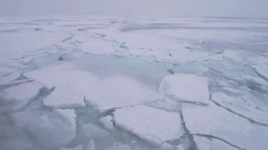 Drift buz Ohotsk Denizi