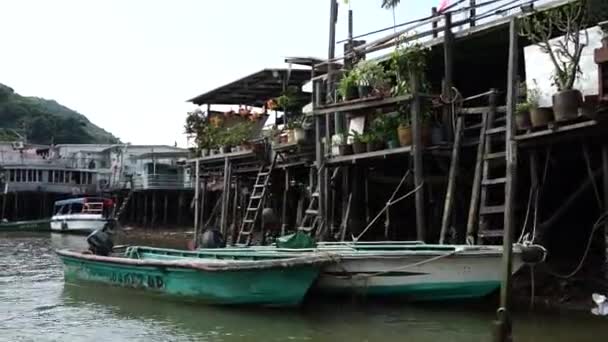 Wioska rybacka Tai o — Wideo stockowe