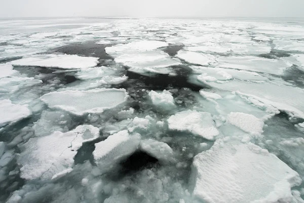 Παρασυρόμενα πάγου από θάλασσα okhotsk στο Χοκάιντο, Ιαπωνία — Φωτογραφία Αρχείου