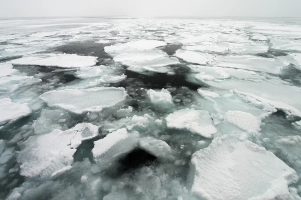 Ohotsk Denizi Hokkaido'da buz drift, japan