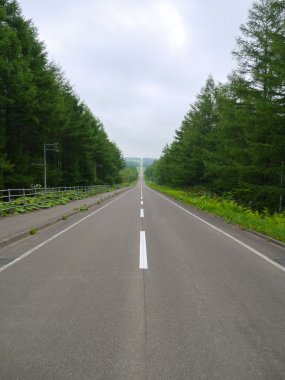 Uzun düz yol Kaiyodai Hokkaido, Japonya