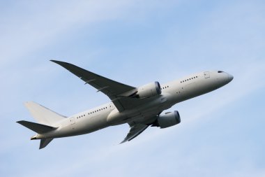 Boeing 787-8