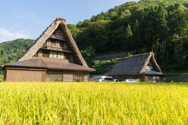 Gassho Zukuri (Gassho tarzı) evler Gokayama, Japonya'nın Suganuma bölgesinde
