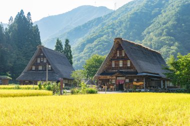 Gassho Zukuri (Gassho tarzı) evler Gokayama, Japonya'nın Suganuma bölgesinde