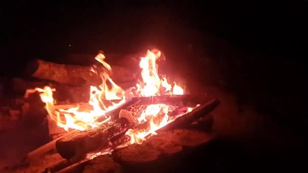 篝火在夜间篝火营里的树林里缓缓燃烧 火势缓慢燃烧 — 图库视频影像