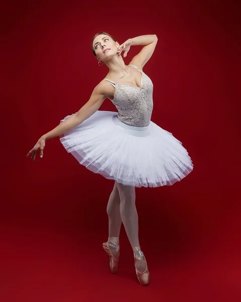 Aantrekkelijke Ballerina Poseert Sierlijk Studio Een Rode Achtergrond — Stockfoto