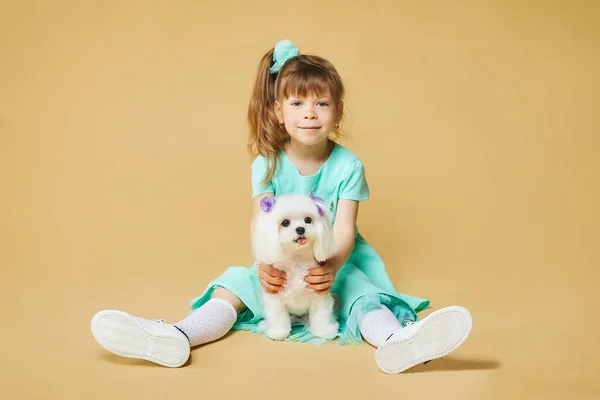 Petite Fille Assoit Sur Sol Étreint Chien Genou Maltais Séance — Photo