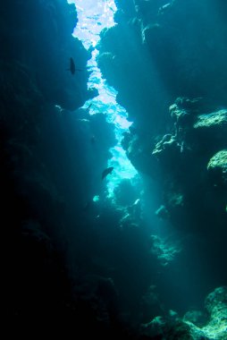 Mısır Kızıl Denizi 'ndeki mağara