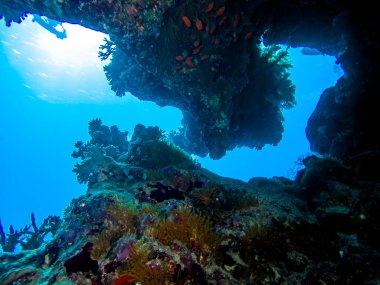 Mısır Kızıl Denizi 'ndeki mağara