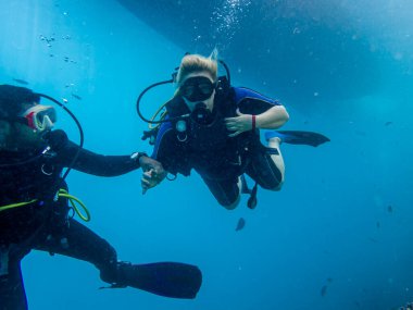 Dalgıçlar Kızıldeniz 'in resiflerine daldılar.