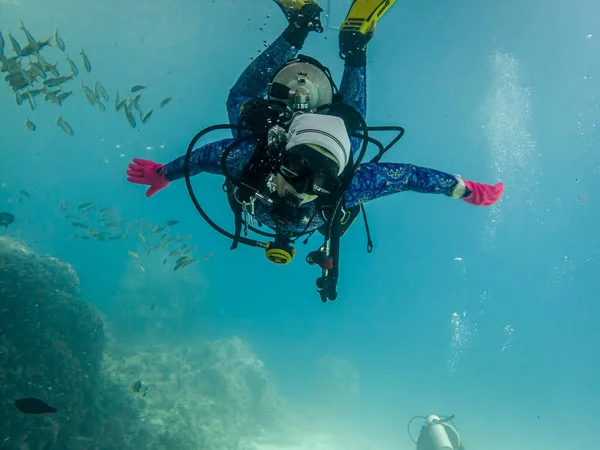 Dalgıçlar Kızıldeniz 'in resiflerine daldılar.