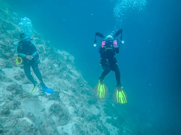 Dalgıçlar Kızıldeniz 'in resiflerine daldılar.