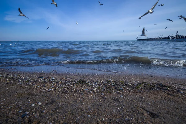 Fırtınadan önce bulutlu havada Azov Denizi