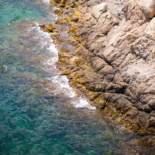 Mar, sol y rocas — Foto de Stock