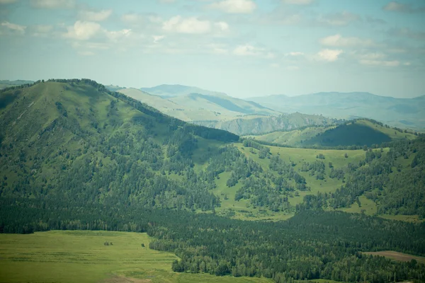 Зеленые холмы Алтая — стоковое фото