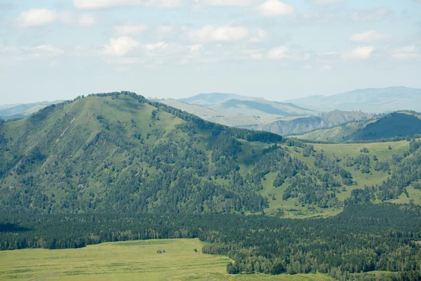 Green hills of Altai — Stock Photo, Image