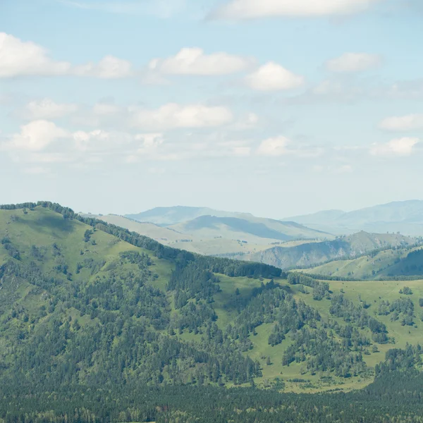 Colinas verdes de Altai — Foto de Stock