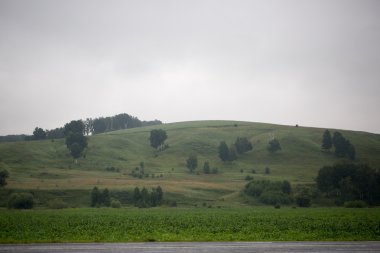 Altay yeşil tepeler