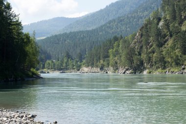 Altay yeşil tepeler