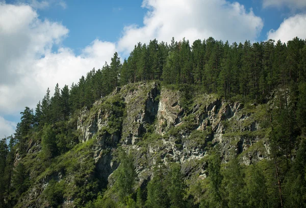 Gröna kullar i Altai — Stockfoto