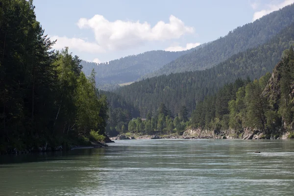 Green hills of Altai — Stock Photo, Image