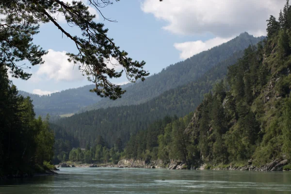 Green hills of Altai — Stock Photo, Image