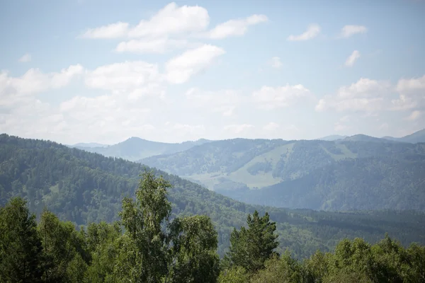 Colline verdi di Altai — Foto Stock