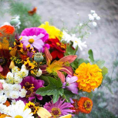 Tasarımınız için renkli çiçekler