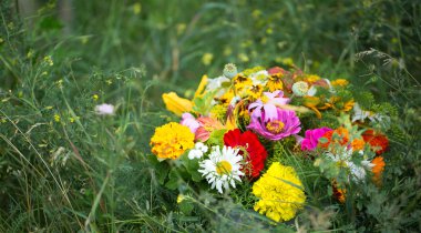 Tasarımınız için renkli çiçekler