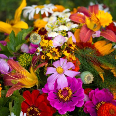 Tasarımınız için renkli çiçekler