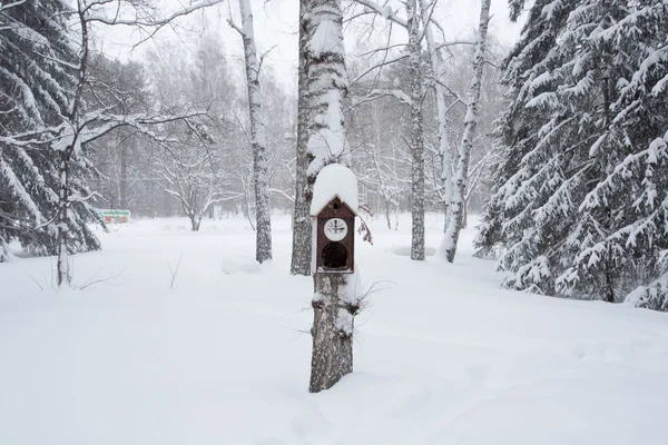 Birdhouse in the winter forest — Stock Photo, Image