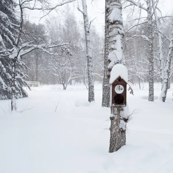 Birdhouse nella foresta invernale — Foto Stock