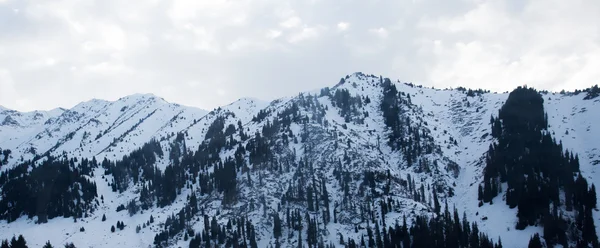 Hermosas montañas paisaje de invierno — Foto de Stock