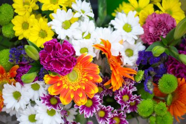 tasarımınız için çiçek kartpostal