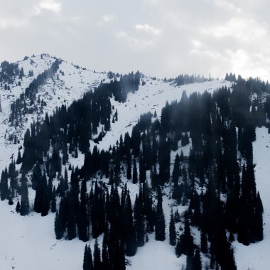 Güzel kış manzara dağlar