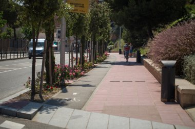 sokak yürüyüş için yeşil ağaçlar ile