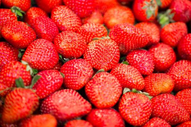 lezzetli, sulu, olgun ve parlak çilek