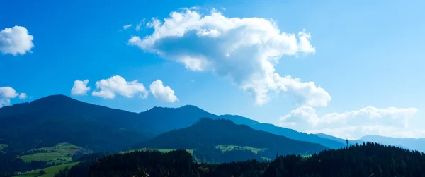 Ярко-зеленые луга и голубое небо — стоковое фото
