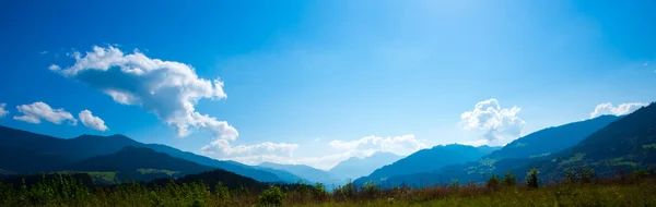 Ярко-зеленые луга и голубое небо — стоковое фото