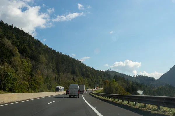 Yol, yeşil çayırlar, mavi gökyüzü
